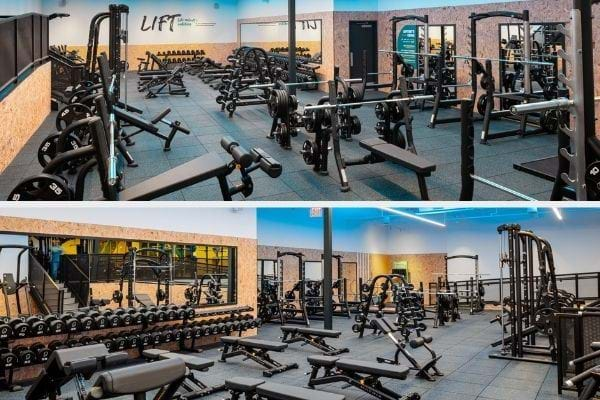 Free Weights Area